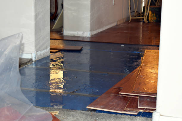 Professional Water Damage Restoration technician working in Guysville, OH